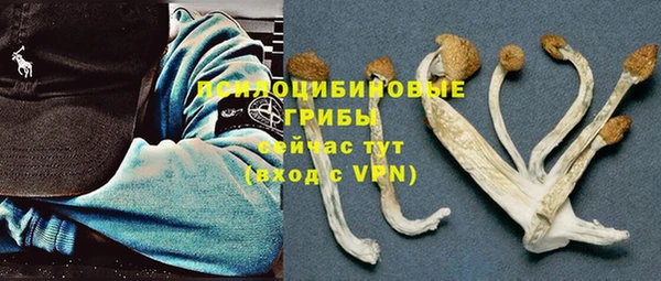 круглые Каменногорск