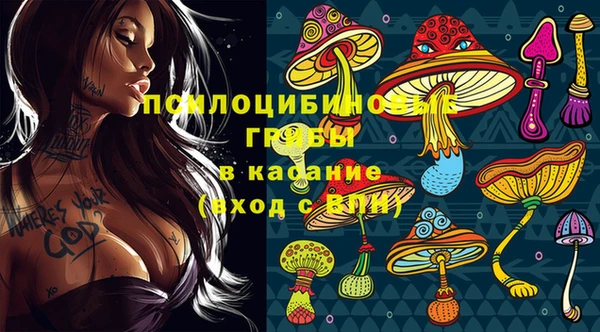 кристаллы Каменка