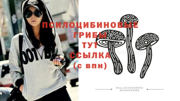кристаллы Каменка