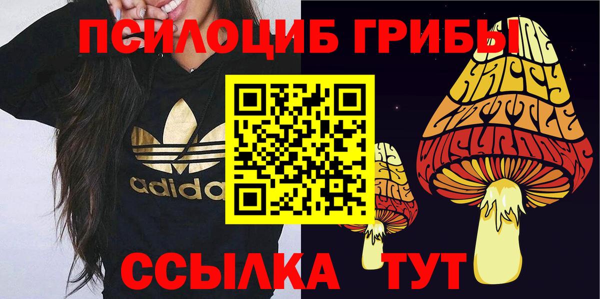 Псилоцибиновые грибы Cubensis Радужный